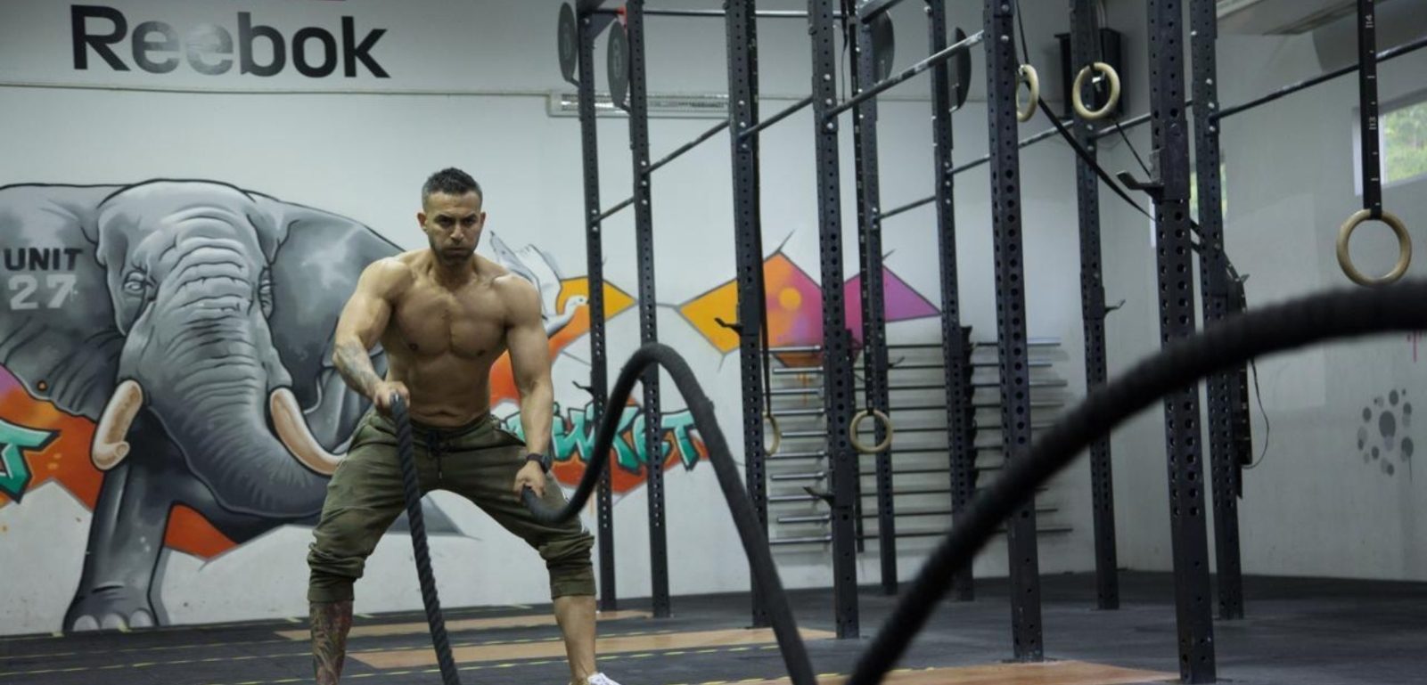 Expert Wellness Retreat India